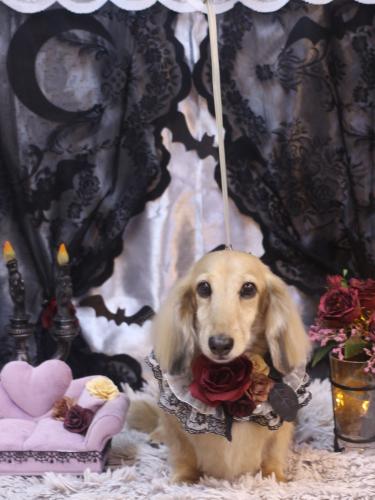 20231018そらくん